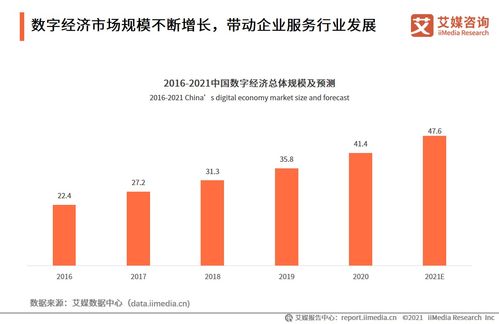 2021上半年中国财税企业服务专题研究报告 信息技术咨询服务透视